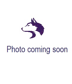 Photo coming soon!